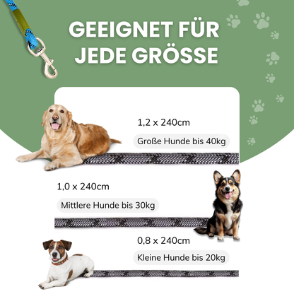 Freihändige Hundeleine – Mehr Bewegungsfreiheit, volle Kontrolle!